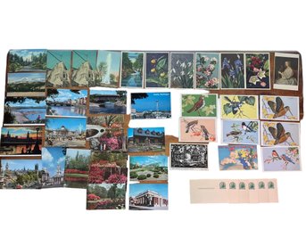 Collection Of More Than 35 Vintage Postcards- Beautiful Botanicals & Birds Take Center Stage!