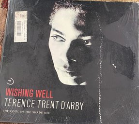 TERRENCE TRENT D'ARBY - WISHING WELL -  12 INCH SINGLE RECORD - IN SHRINK - VG CONDITION