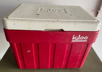 Igloo Cooler