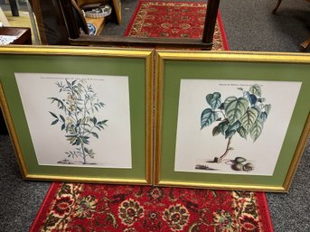 Pair Gold Framed Florals With Green Mats