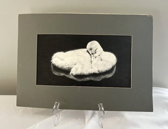Mauyra Twitchell Signed Duck Etching