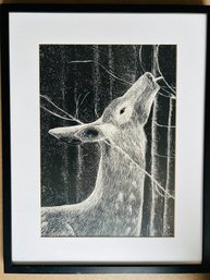 Framed Deer Picture 13.5 X 17