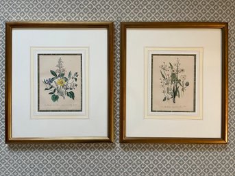 A Pair Of Beautifully Framed Botanical Floral Bookplates