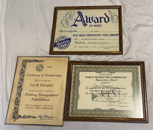 Three Carl Thompson Awards