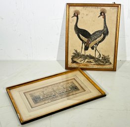 Antique Hand Colored German Lithographs