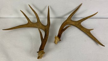 Antlers