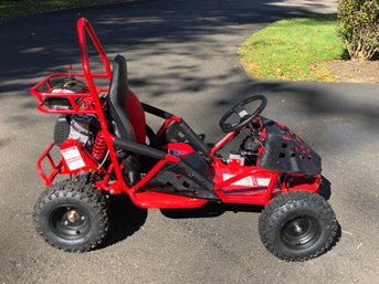 Paid $1,299 ! - Incredible Brand New Go Cart / Off Road  49CC - Made In 12/2023 - Looks  Runs Like BRAND NEW