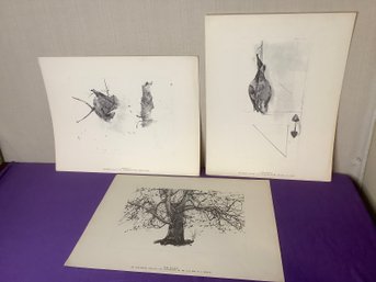Set Of 3 Prints On Paper