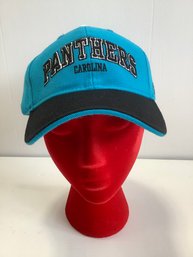 Carolina Panthers Snap Back Hat #2