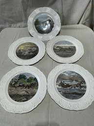 5 Collector Plates