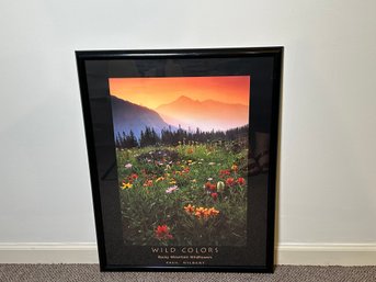 Paul Gilbert 'Rocky Mountain Wild Flowers' Framed Print