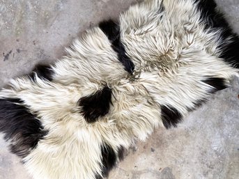 An Authentic African Animal Skin Rug