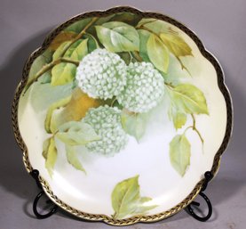 Fine Rosenthal Porcelain Plate Snowball Asters