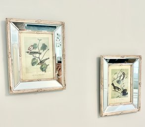 Set Of 2 - Mirror Framed Floral And Bird Wall Prints