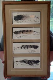 Framed Limited Edition Prints Entitled Feather By Ken Schmidt 665/900