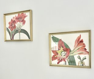 Pair Of Ballard Design Floral Framed Prints