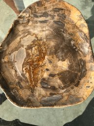 , 10 Inch By 9 Inch, Petrified Wood Plate