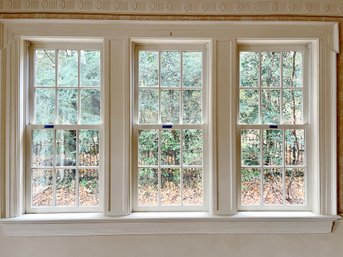 A Collection Of 20 High Quality Thermopane Double Hung Windows - Including Custom Trim - 6/6 - 2nd Floor