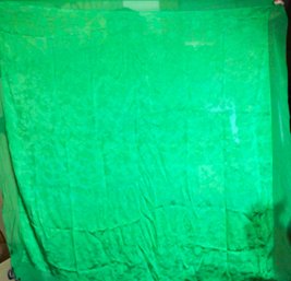 Fine Designer Green Silk Scarf B Y Nina Ricci Made In Italy