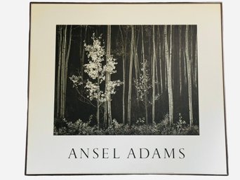 Ansel Adams Framed Poster Print Of Aspens, Northern New Mexico, 1958