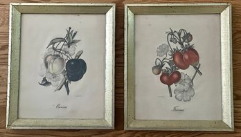 Pair Of French Framed Antique Botanicals - Cherries And Strawberries