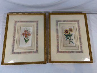 Pair Of Floral Lithograph Prints 15x18 Matted Framed