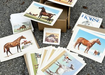 A Large Assortment Of Equestrian Art And Lithographs By Sam Savitt