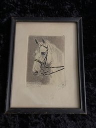 Lipizzaner Spanische Reitsgiule In Wien Framed Horse Print