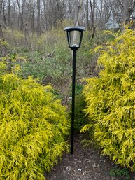 Solar Garden Stake Lamp