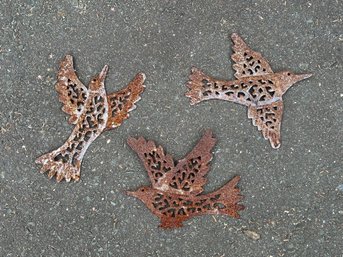 A Small Grouping Of Rusty Birds In Flight