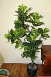 Six Foot Tall Artificial Ficus