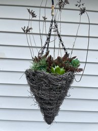 Hanging Basket With Faux Succulants