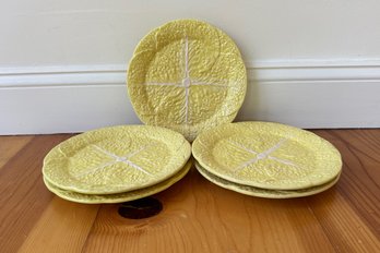 Light Yellow Portuguese Cabbage Plates
