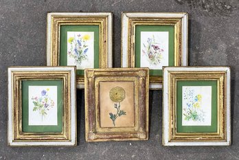 Miniature Watercolor Prints In Vintage Frames