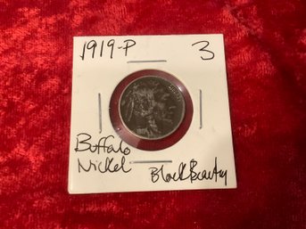 1919 P Buffalo Nickel (black Beauty) 3
