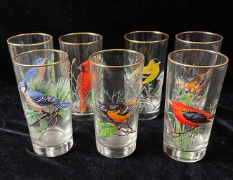 West Virginia Glass American Song Birds Glasses With Gold Rim - Set Of 7