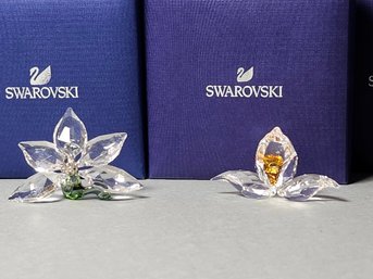 Swarovski Crystal SCS African Orchid & Renewal Orchid With Original Boxes