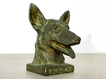 A Cast Canine Bust