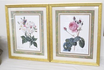 Matching Pair Of Decorative Botanical Prints In Frames