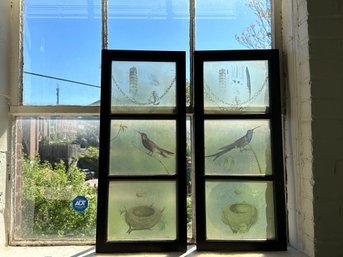 Beautiful Pair Of Bird & Nest Design Windows