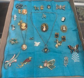 Simple Nice Look Jewelry Lot Collection Of Pins, Necklaces, Pendants, Different Types Of Clips. JJ/A3