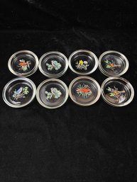 West Virginia Glass American Song Birds Glass Coasters - Set Of 8