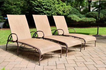 Set Of 3 Brown Jordan Roma Sling Chaise Lounge Chairs