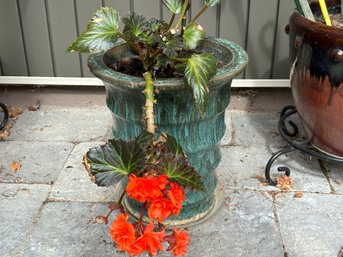 A Tall Glazed Ceramic Planter In Streaked Turquoise With A Thriving Plant