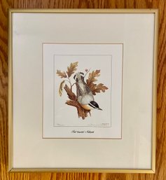 Framed Limited Edition Print Signed By Artist - Red-breasted Nuthatch