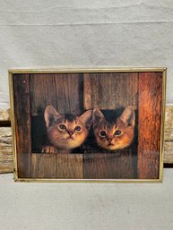 Cat Poster In Gold Frame