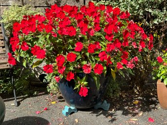 A Very Large Planter With Separate Feet & A Thriving Red Impatiens