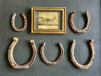 Five Vintage Horseshoes And Print