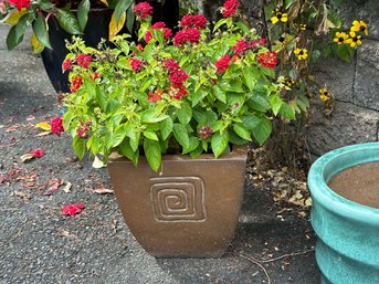 A Tapered Square Ceramic Planter With A Bronzy Finish & A Thriving Plant