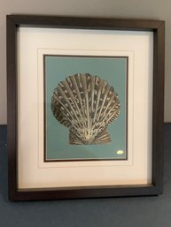 Framed Shell Print